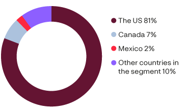 north_america_share_of_sales_per_country_Eng.png